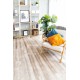 Кварц-виниловая плитка Alpine Floor Real Wood ECO 2-10 Дуб Carry