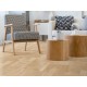 Пробковый пол Corkstyle Woodwise Woodwise Daylight