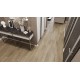 Кварц-виниловая плитка Alpine Floor Premium XL ECO 7-13 Дуб млечный